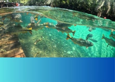 site agencia praia parque